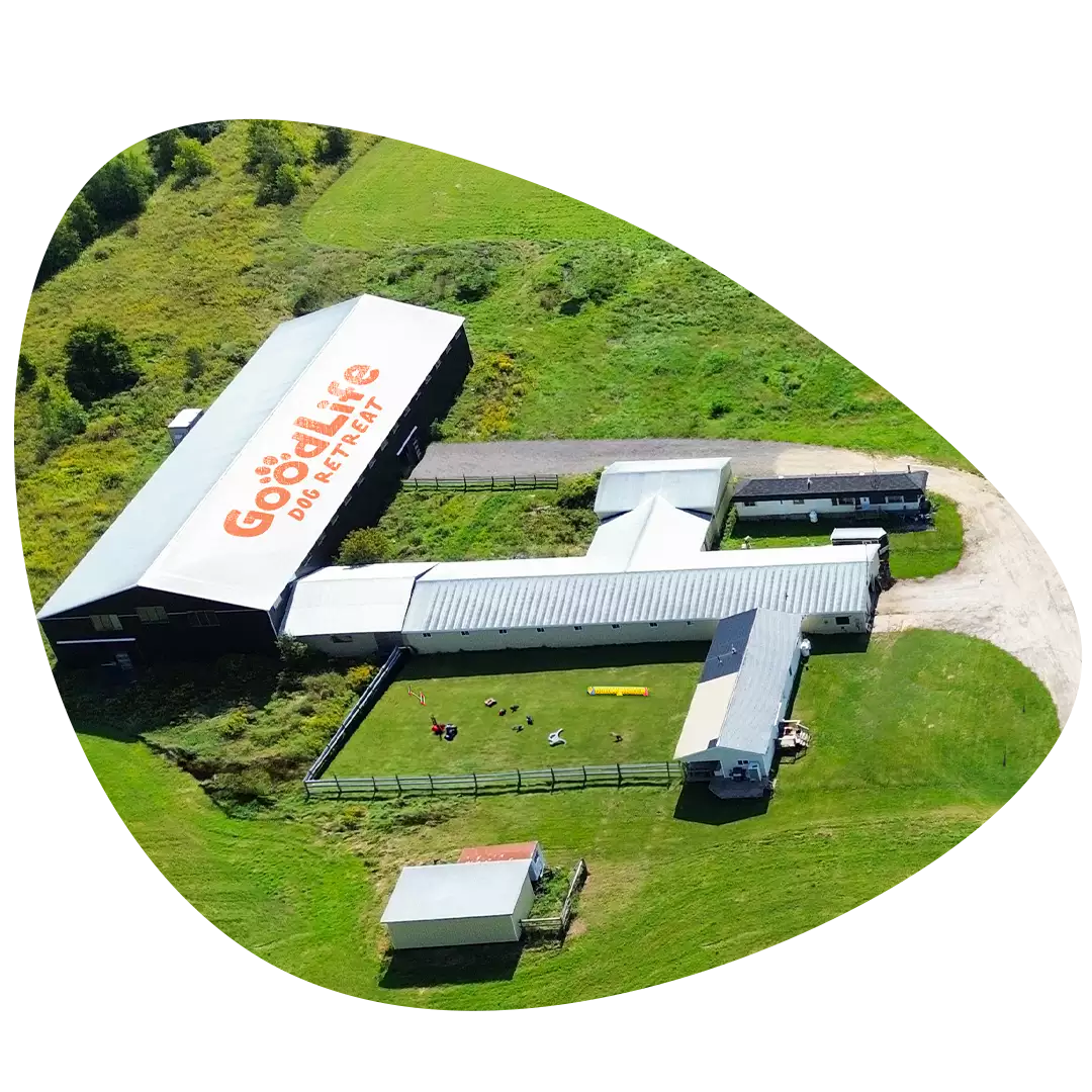 Goodlife Dog Retreat Main Building