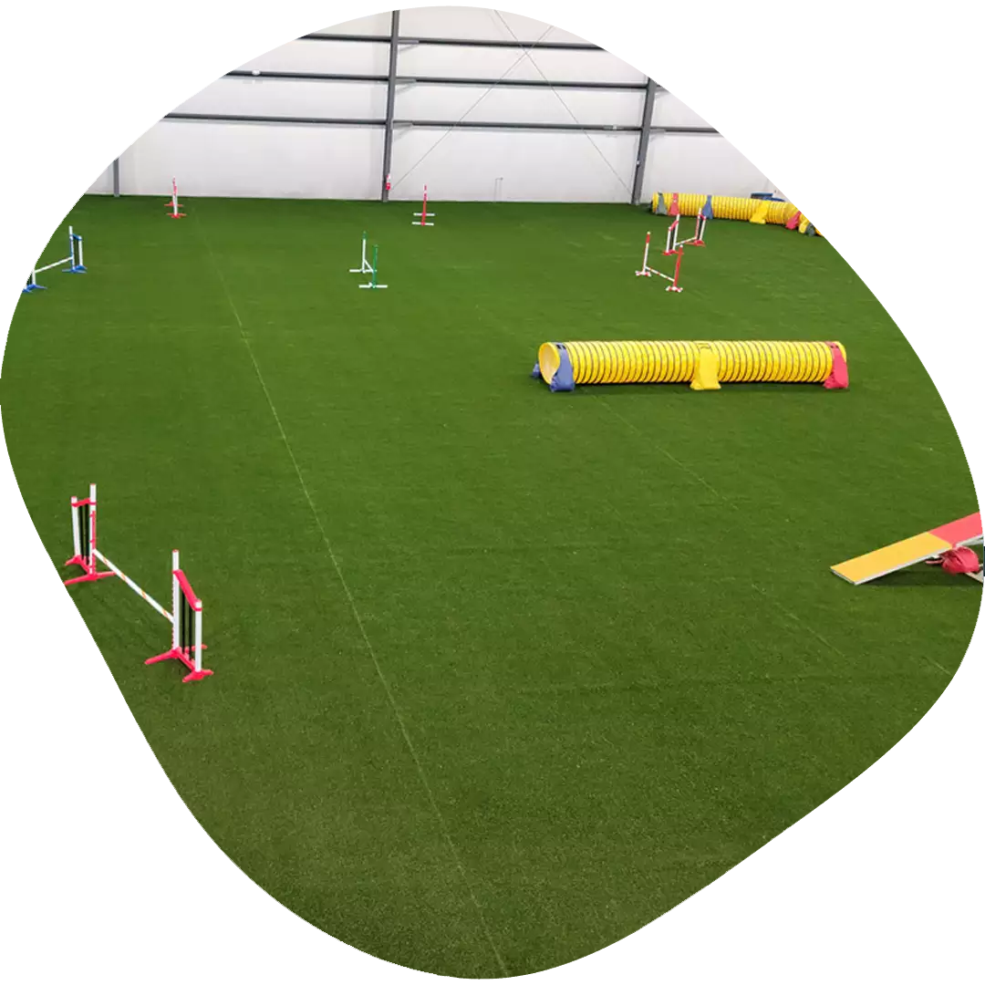 Goodlife Dog Retreat Indoor Play Area